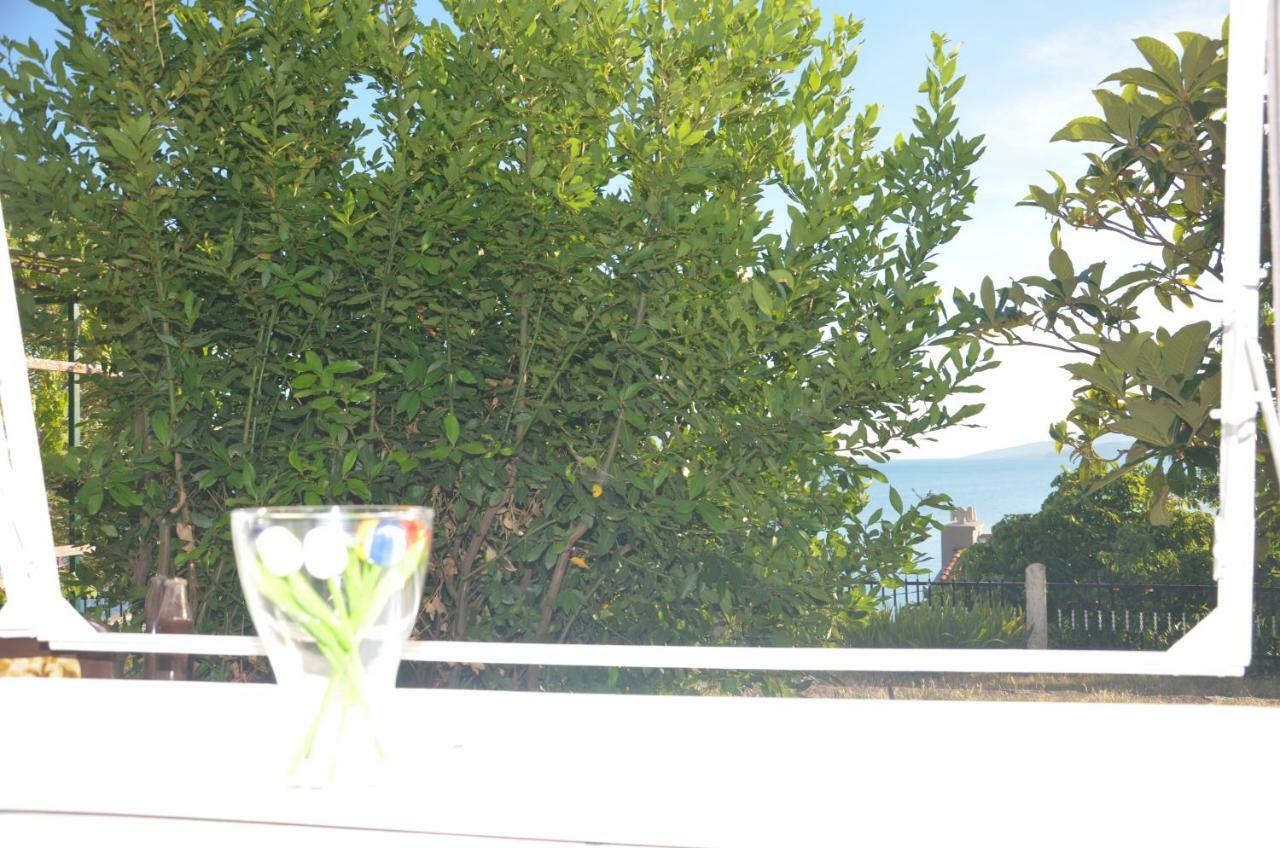 Villa Biondina เซนญ์ ภายนอก รูปภาพ